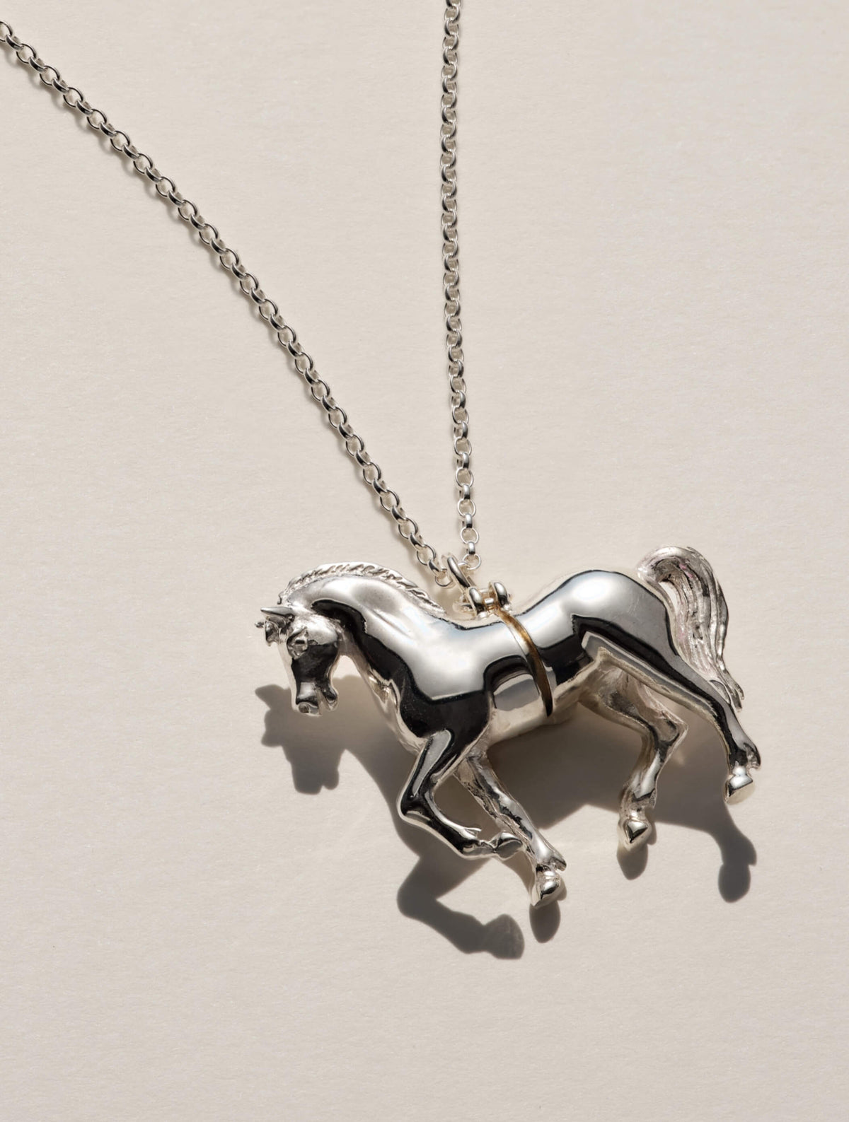 ANIMAL LOCKETS
